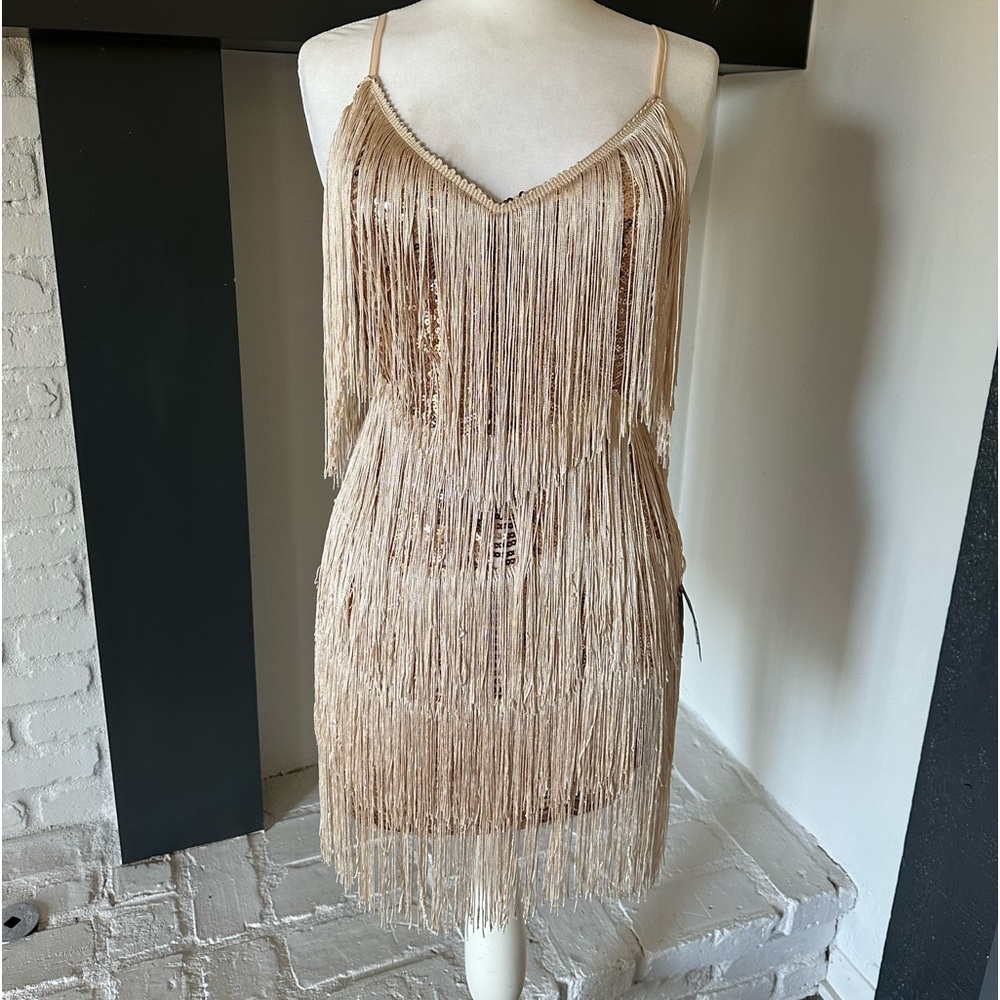 Get in the Groove Champagne Sequin Fringe Bodycon Dress